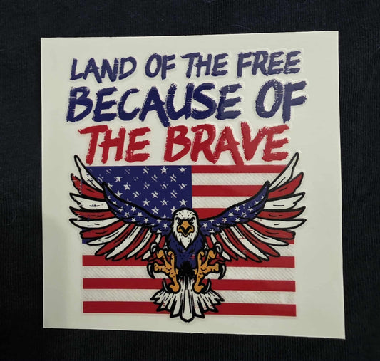Land of the Free, Because of the Brave (Eagle) Decal